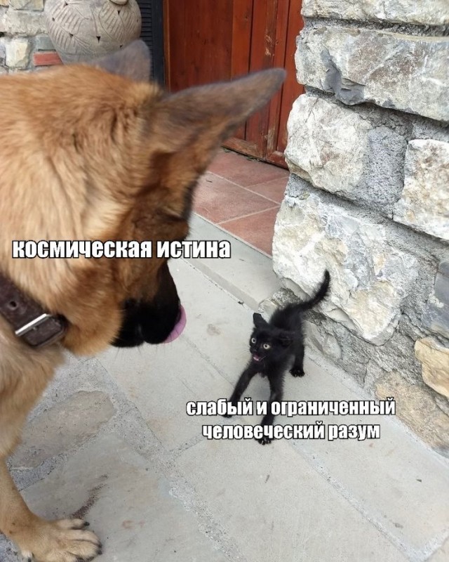 картинка c8d5160e26 20703973