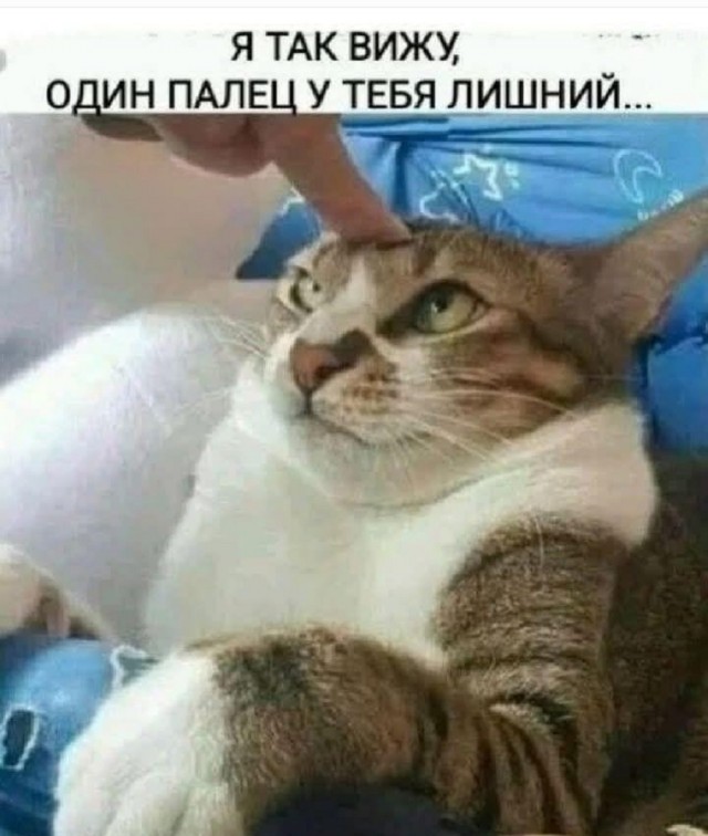 картинка c944262fdb 20697508