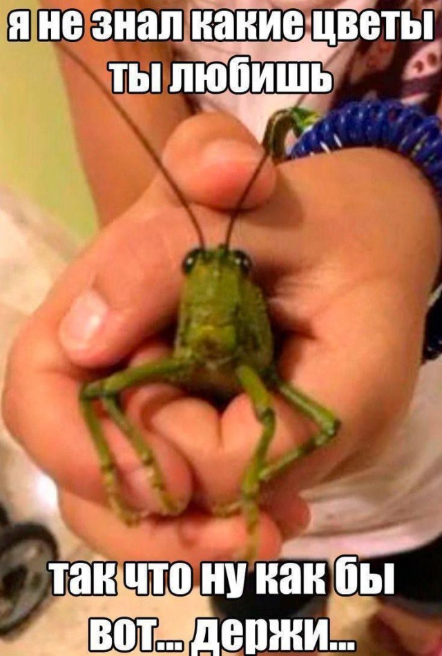 картинка d04ba77c6e 20765061