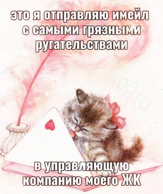 картинка d4ee707123 20740984