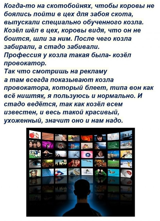 картинка d642f0ade1 20748295