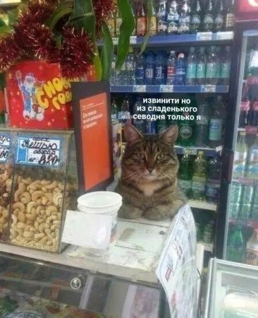 Начало недели? Не беда! Заряжаемся позитивом с юмором! native-yes