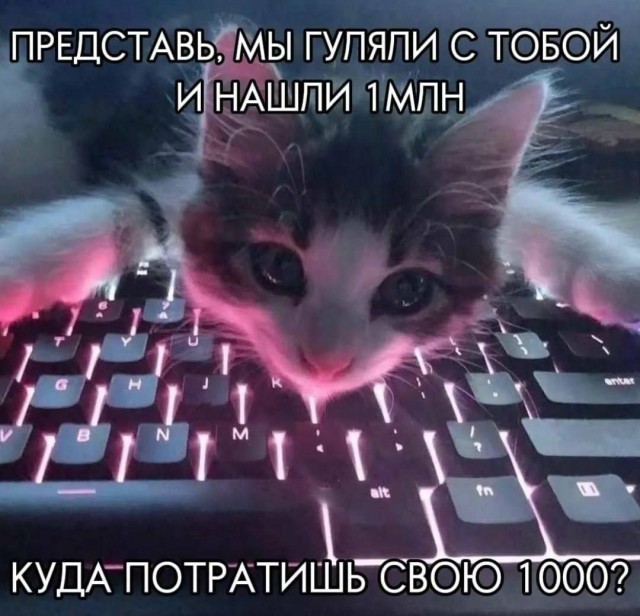 картинка da14e71288 20720969