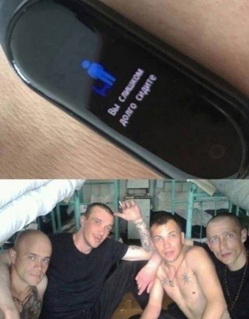 картинка db1cca59e1 20720426