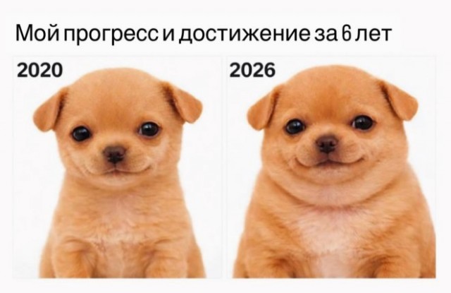 картинка de0502f247 20760372