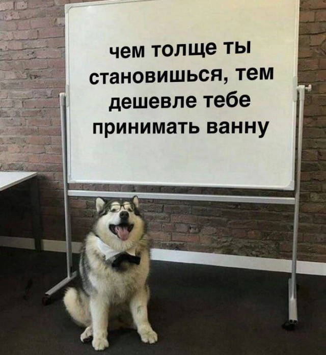 Выходные на позитиве – это реально! Встречайте новый сборник убойных мемов! native-yes