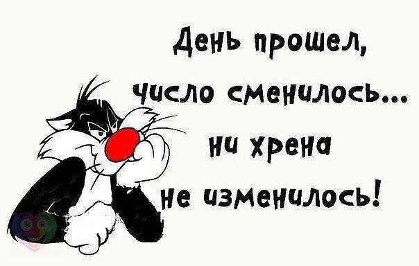 картинка de9704054d 20721891