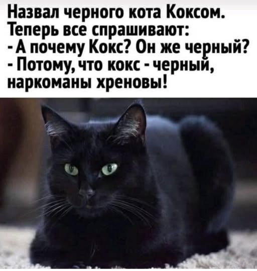 картинка dff9aaafb8 1770826102