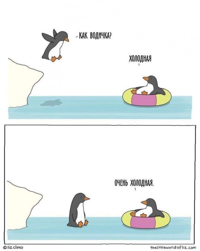 картинка e2cbc72bc6 20722058