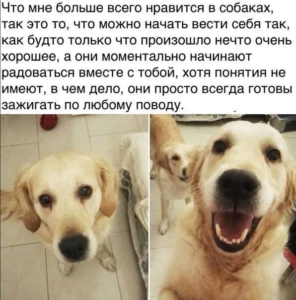 картинка e35c75c658 20759074