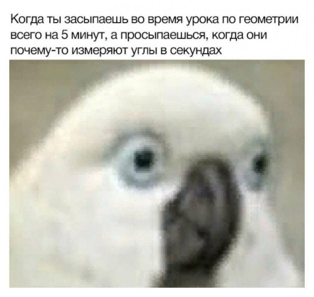 картинка e5af20d2f3 20765083