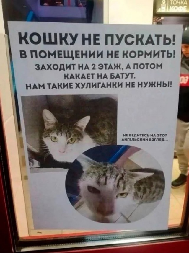 картинка e77c49e6dc 20698569