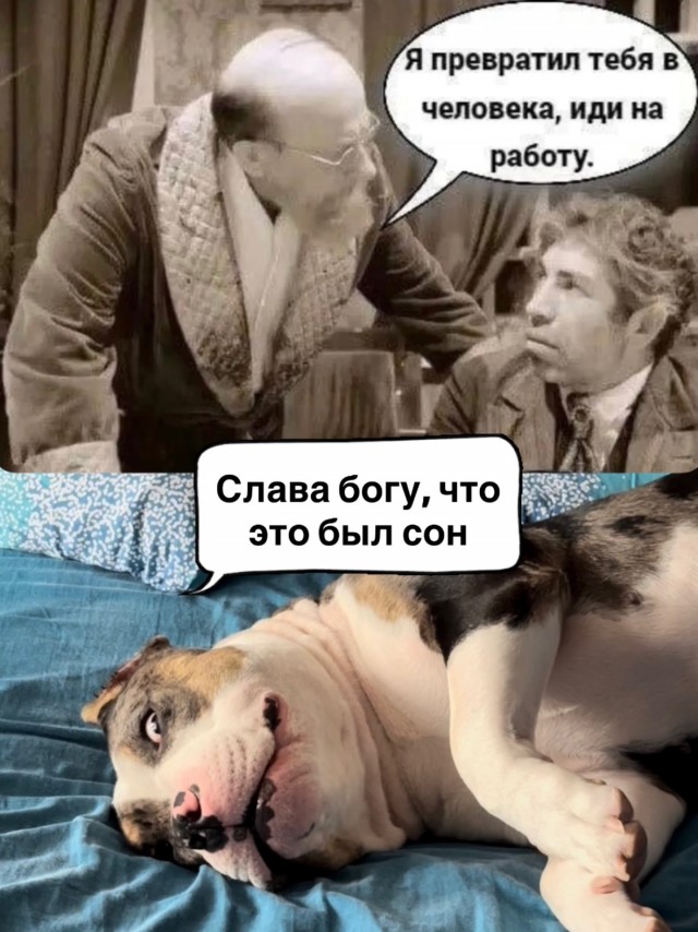 картинка e95ebd9196 20765321