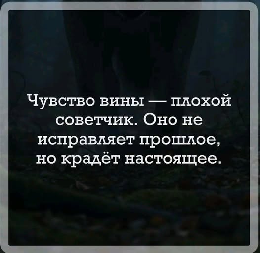 картинка ea587fb716 20722004