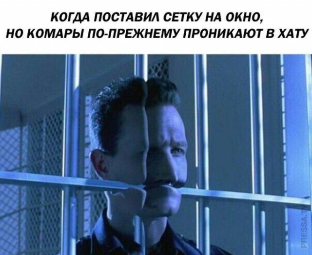 картинка ea911bc77d 20722125