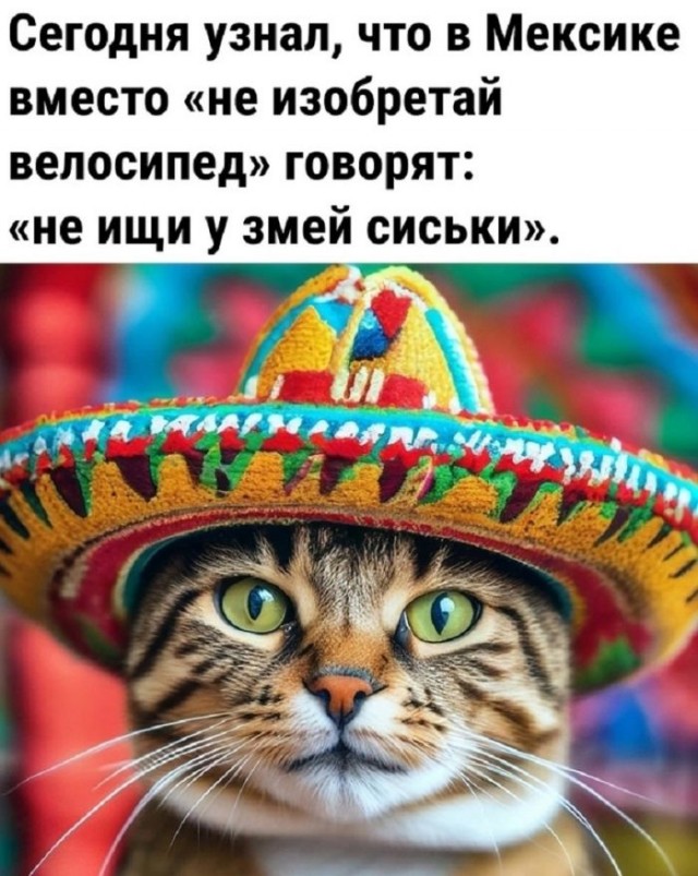 картинка eb84694503 20722877