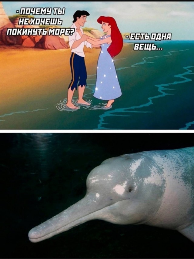 картинка ec50a0345a 20759974