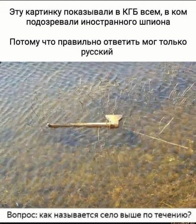 Выходные на позитиве – это реально! Встречайте новый сборник убойных мемов! native-yes