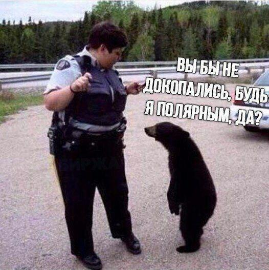 картинка ee58fc28da 20782817