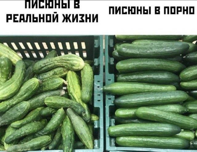 картинка ee74932373 20722104