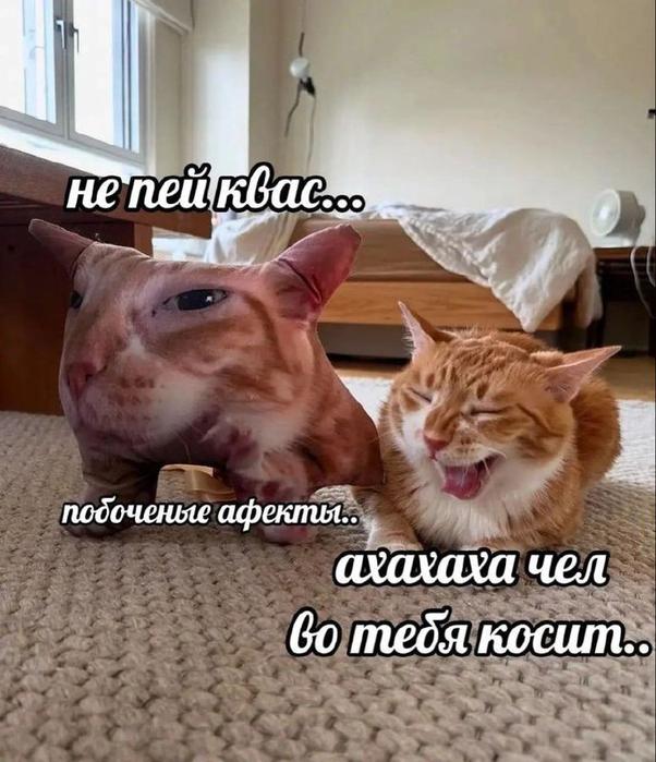 картинка eeab07b276 20722912