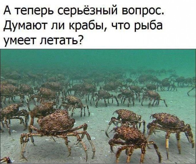 Забудьте о скуке! Откройте для себя мир смеха с нашим новым сборником приколов! Забудьте о скуке! Откройте для себя мир смеха с нашим новым сборником приколов! которые, настроение, шутки, самые, улыбка, сборник, приколов, жизнь, продлить, изменить, окружающими, отношения, Когда, улучшить, самочувствие, смеетесь, Устали, который, способен, вырабатывает