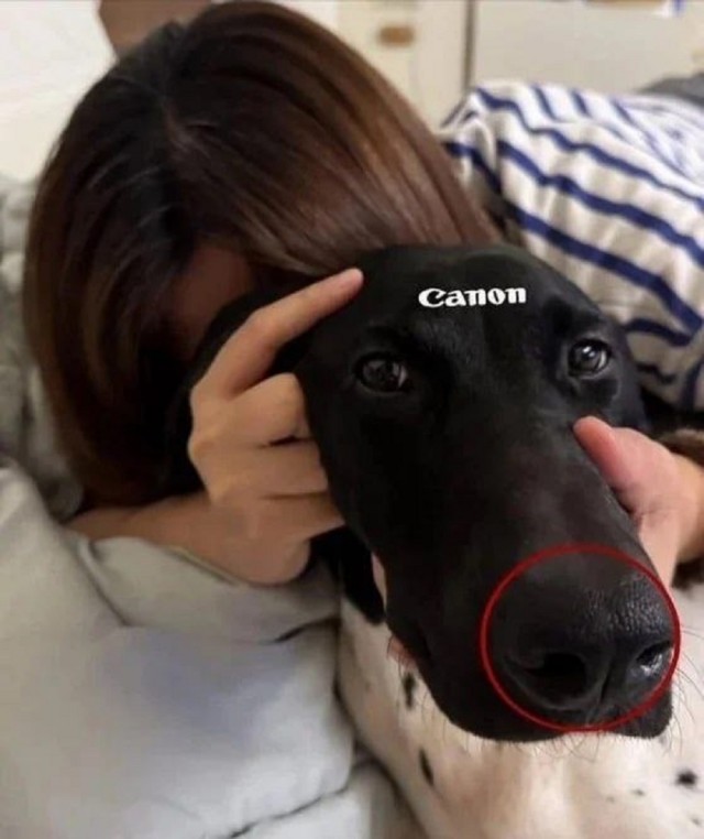 картинка f117ea0dad 20740931