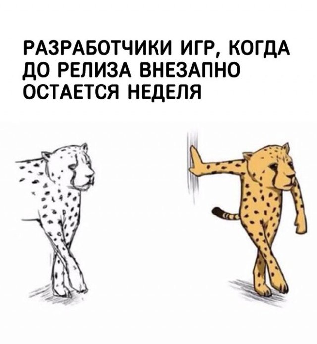 картинка f5304d19e2 20722223