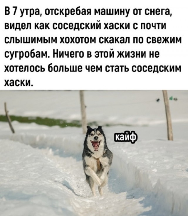 картинка f5d36201b7 20740978