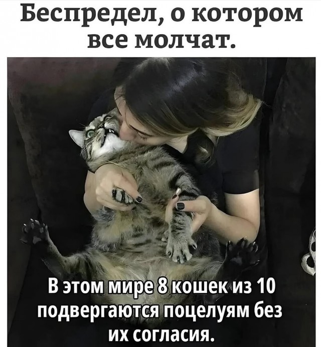 картинка fdf8785a17 20743159