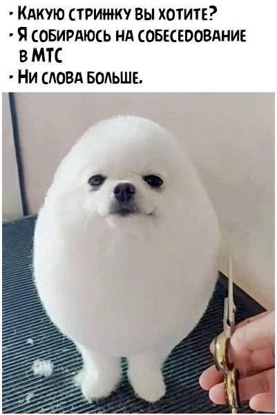 картинка fea87c0f2a 20759075