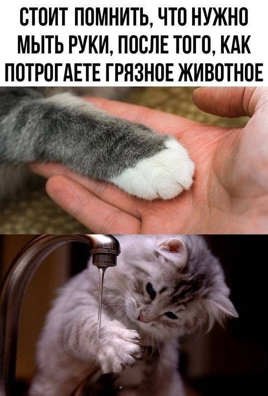 картинка ffeb0fe359 20765040