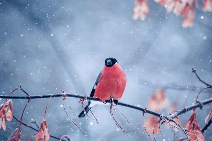 картинка 0801de9334 malenkaja pjatnica uzhe zdes gotovy zarjaditsja pozitivom i posmejatsja ot dushi 10