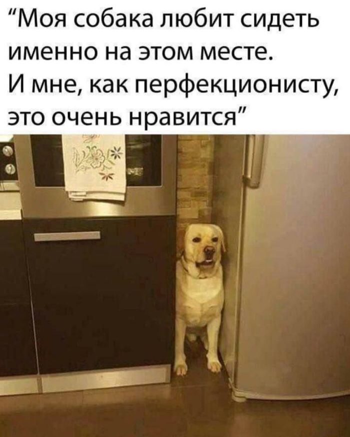 картинка 0afe512457 vnimanie ceniteli ostrogo i pikantnogo 11