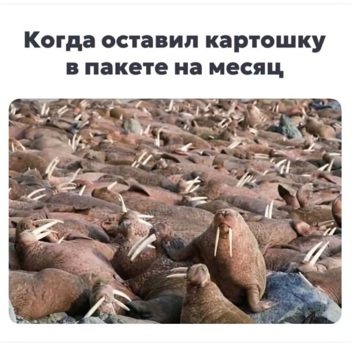 картинка 0f3ddcd446 pjatnica druzja vremja otbrosit vse zaboty i vstretit vyhodnye s ulybkoj 12