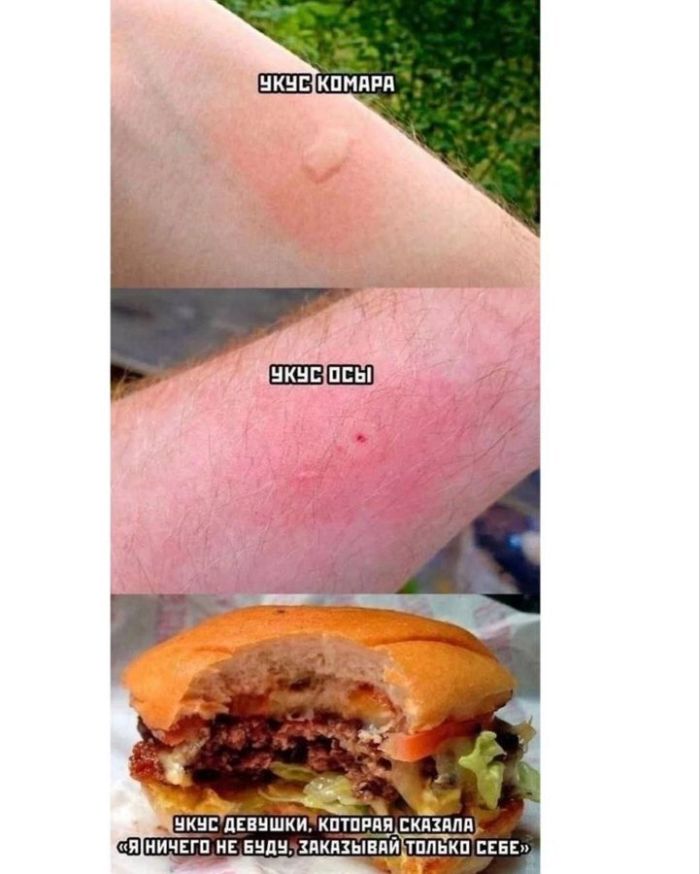 картинка 10600e7f13 00