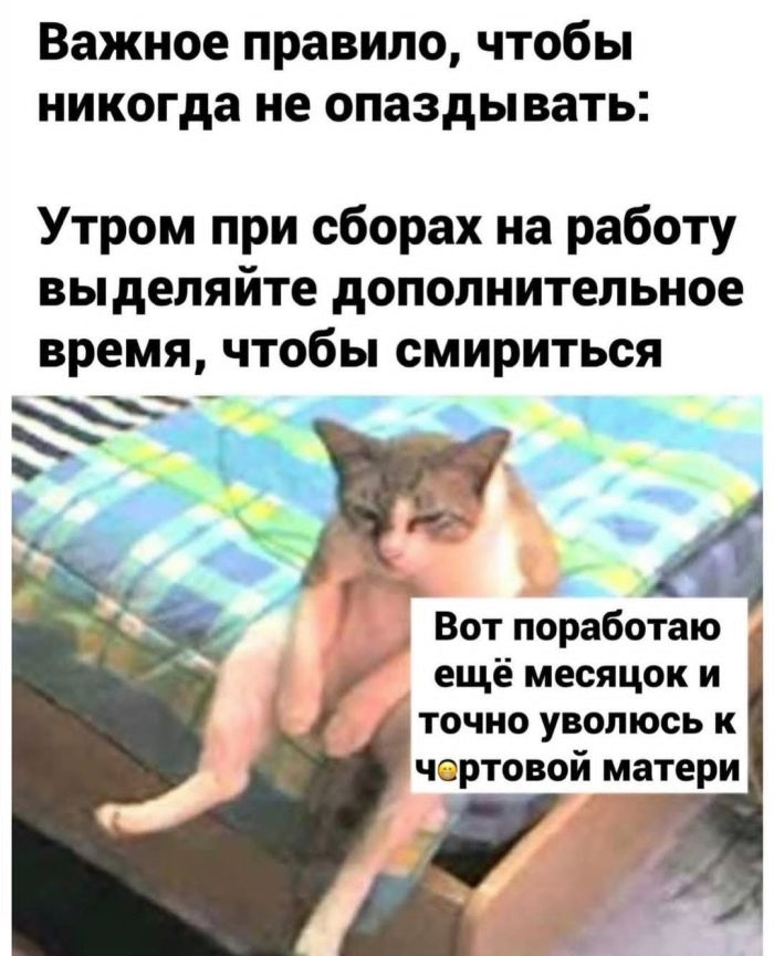 Маленькая пятница уже здесь! Заряжаемся позитивом на всю среду! Маленькая пятница уже здесь! Заряжаемся позитивом на всю среду! native-yes