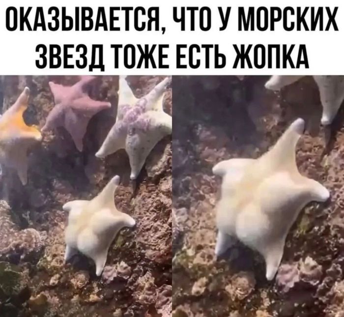 картинка 10ce26a852 chernyj jumor vo vsej krase bolshaja podborka vzroslyh prikolov 14