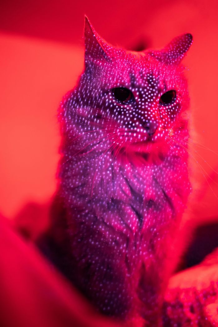 картинка 13e49e8e0a pjatnica druzja vremja otbrosit vse zaboty i vstretit vyhodnye s ulybkoj 5