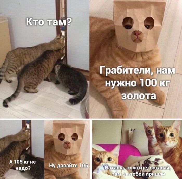 Маленькая пятница уже здесь! Заряжаемся позитивом на всю среду! Маленькая пятница уже здесь! Заряжаемся позитивом на всю среду! native-yes