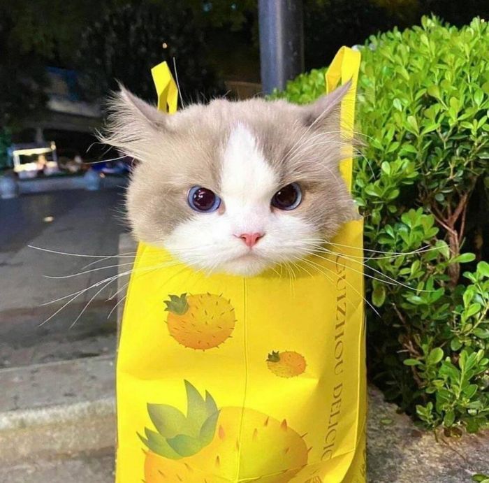 картинка 2107e0f892 pjatnica druzja vremja otbrosit vse zaboty i vstretit vyhodnye s ulybkoj 9