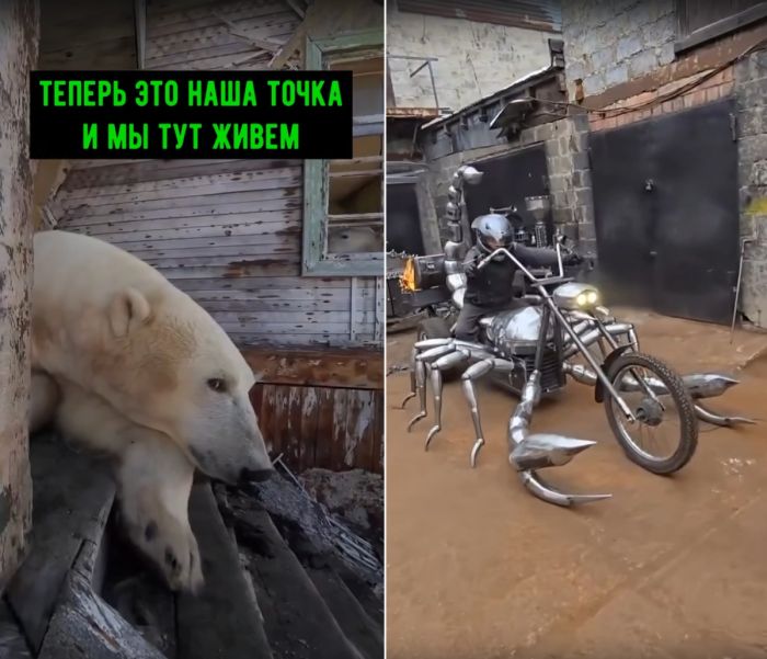 Сборник новых видео для настроения