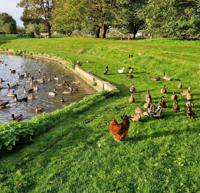 картинка 30c56086ff malenkaja pjatnica uzhe zdes gotovy zarjaditsja pozitivom i posmejatsja ot dushi 14