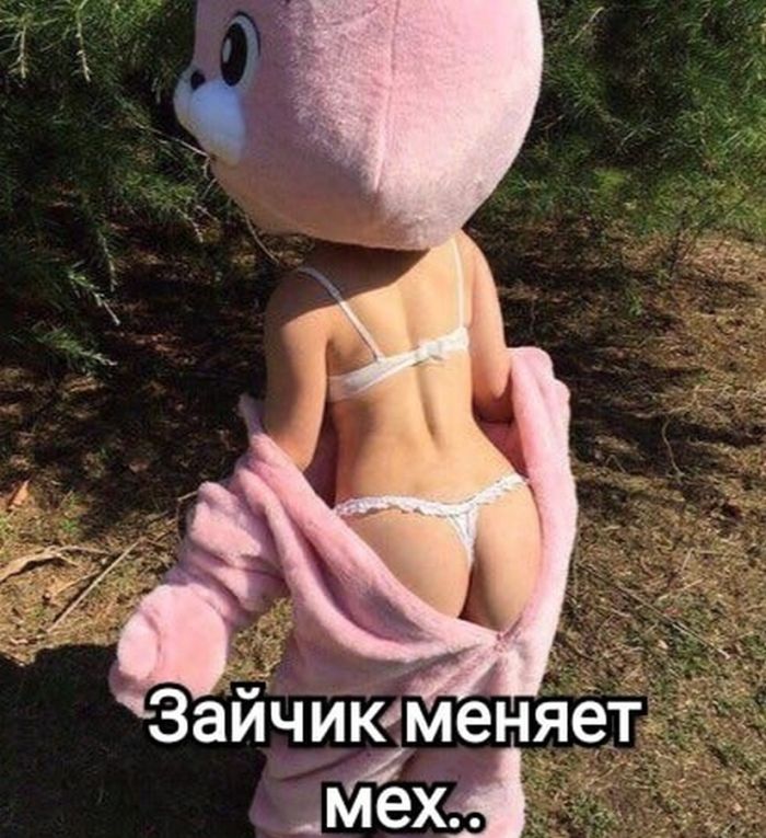 картинка 31bb3d42a6 ustali ot milyh kotikov i shutok pro pogodu togda vam sjuda 12