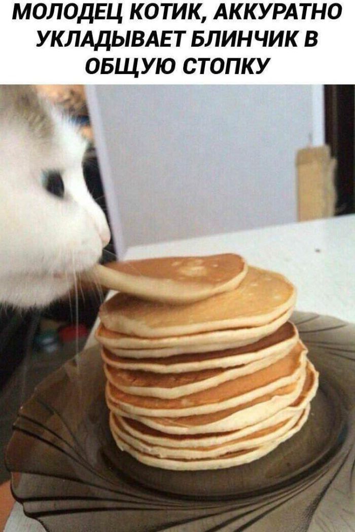 картинка 34d722c63a smeshnye kartinki topovye memy i pikantnye kommentarii iz socsetej 14