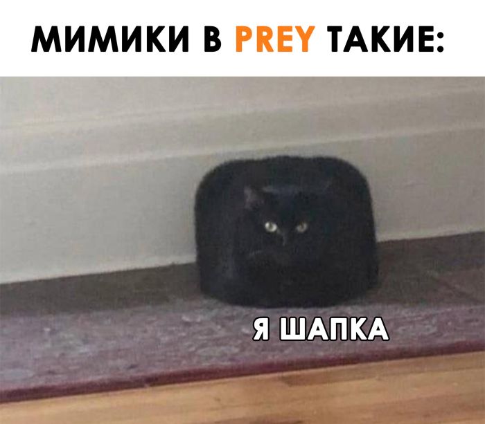 Маленькая пятница уже здесь! Заряжаемся позитивом на всю среду! Маленькая пятница уже здесь! Заряжаемся позитивом на всю среду! native-yes