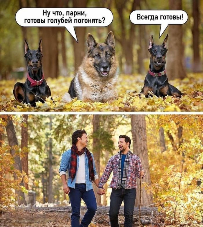 картинка 455ff5721d svezhie shutki memy i kartinki dlja vashego otlichnogo nastroenija 30