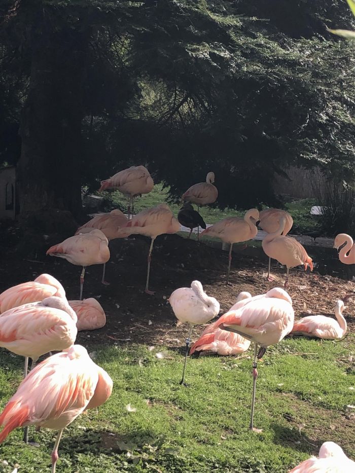 картинка 46f1c0ce22 malenkaja pjatnica uzhe zdes gotovy zarjaditsja pozitivom i posmejatsja ot dushi 1