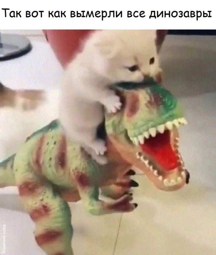 Готовьтесь к взрыву позитива! Ваш пятничный сборник свежайших шуток, мемов и картинок уже здесь!