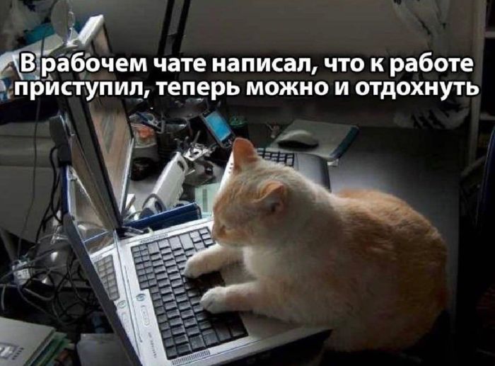 Утро начинается с улыбки: подборка самых смешных мемов и комментариев из сети! самое, которые, юмора, чтобы, Тогда, хорошим, подборку, точно, лучшее, вамНачать, забот, настроениемОтвлечься, радостью, наполнен, будет, Пусть, улыбки, позитива, поможет, который
